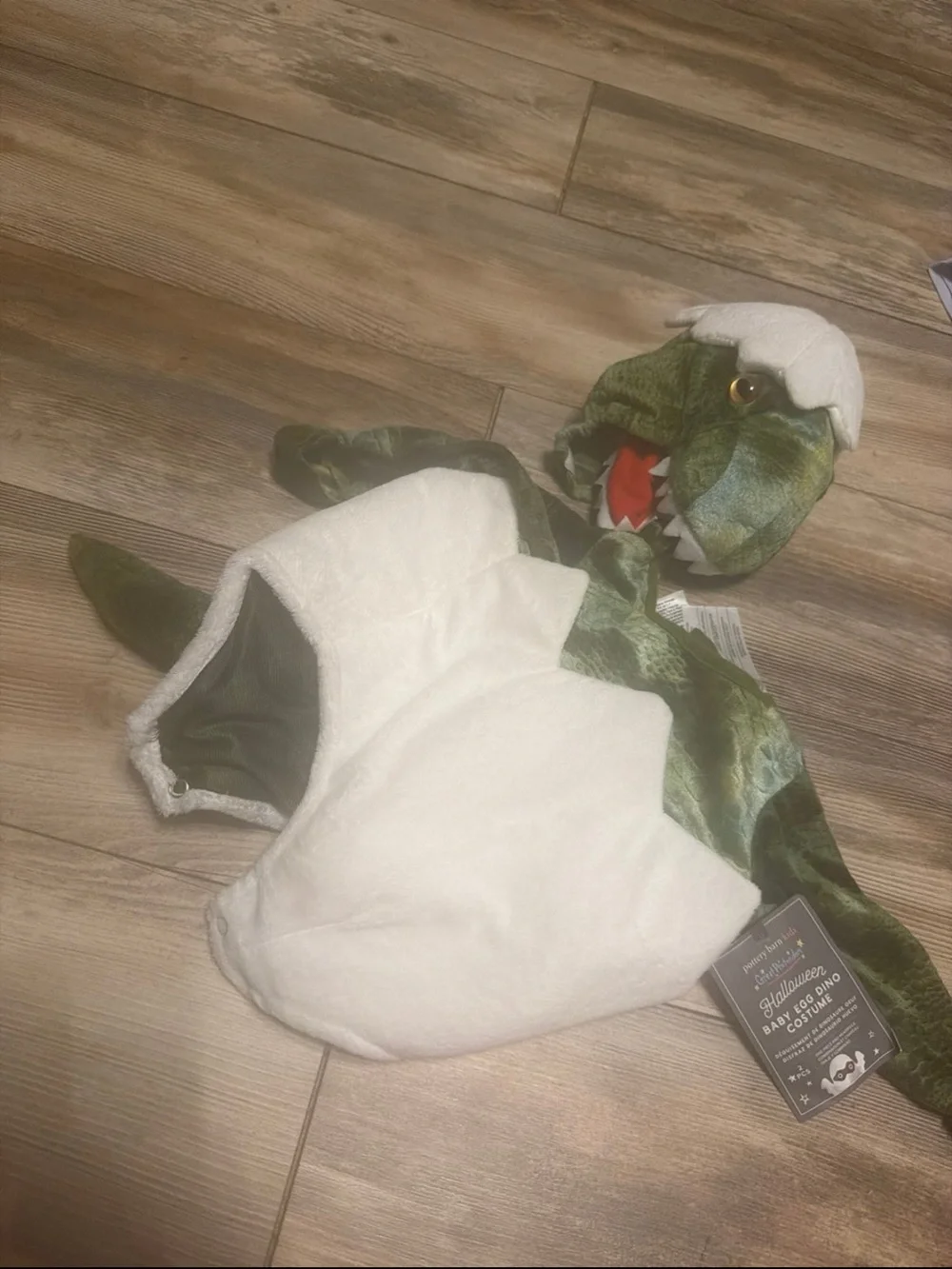 Pottery Barn Kids Green and White Baby Egg-O-Dino Halloween Costume